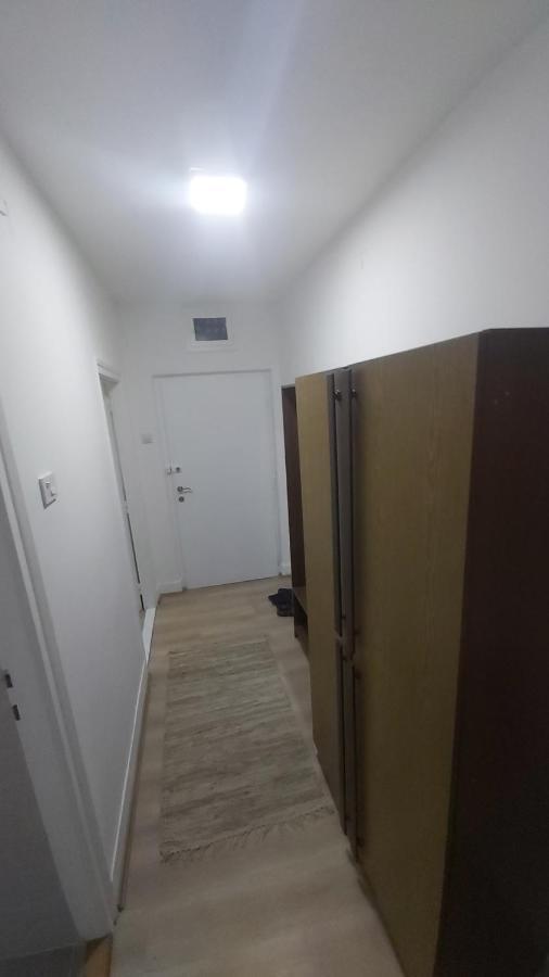Apartman Pavlovic ليسكوفاك المظهر الخارجي الصورة
