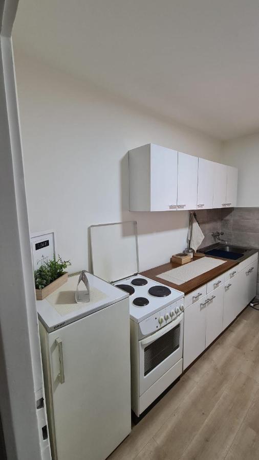 Apartman Pavlovic ليسكوفاك المظهر الخارجي الصورة