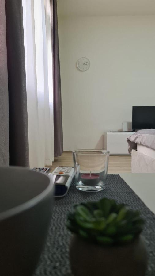 Apartman Pavlovic ليسكوفاك المظهر الخارجي الصورة